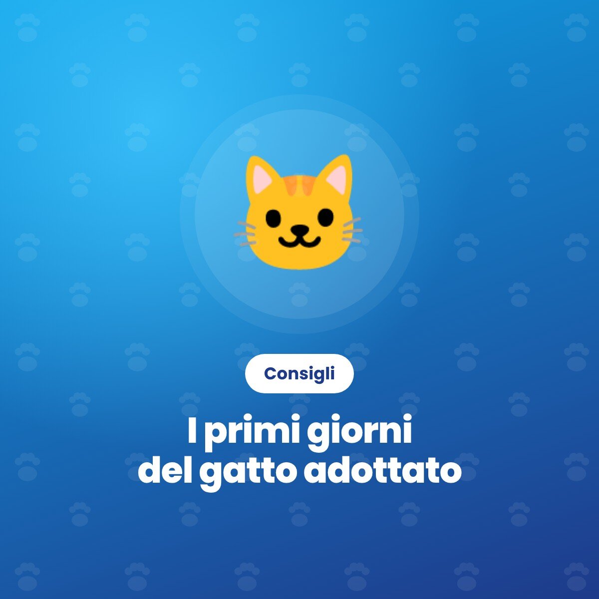 I primi giorni a casa con il gatto adottato: 7 consigli