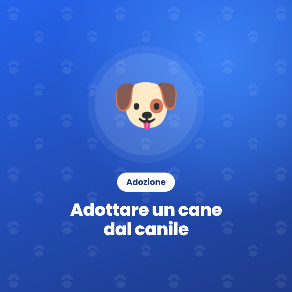 Adottare un cane dal canile: la guida passo dopo passo
